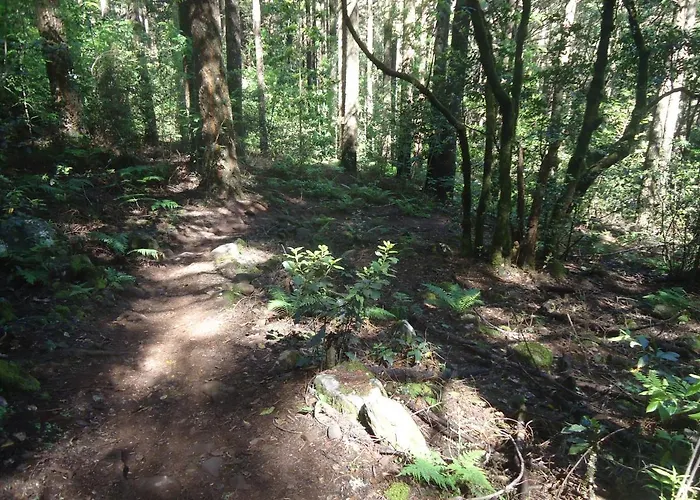 アパート Quiet Place マシコ