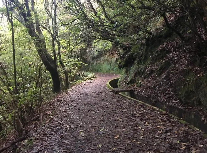 Quiet Place マシコ