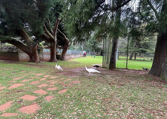 Quiet Place ماتشيكو