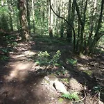 公寓 Quiet Place 马希库