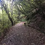 Quiet Place מצ'יקו