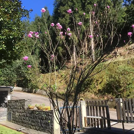 Quiet Place Апартаменты Машику