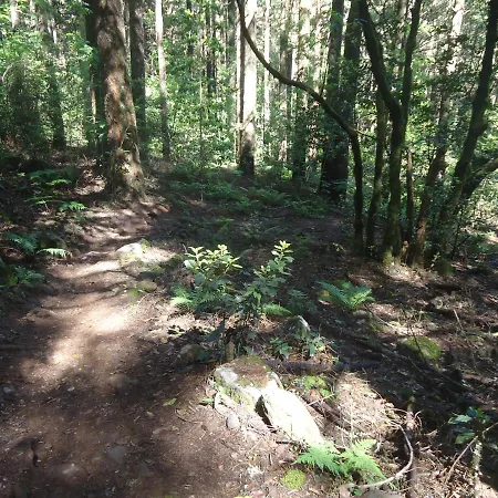 Апартаменты Quiet Place Машику