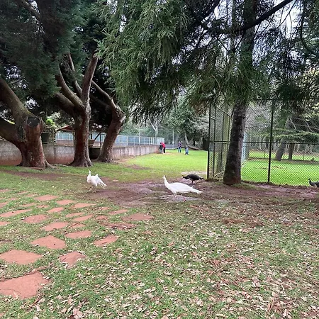 Quiet Place Machico (Madeira)