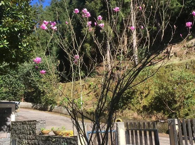 Quiet Place Apartmán Machico (Madeira)